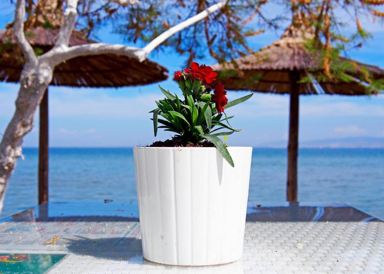 Rena'S Traditional Aegean House By The Sea Peraia (Thessaloniki) Exterior foto